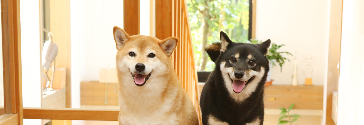 愛犬家 愛犬と幸せに暮らす住まいの本 | 中嶋 宏一, 愛犬家住宅 |本